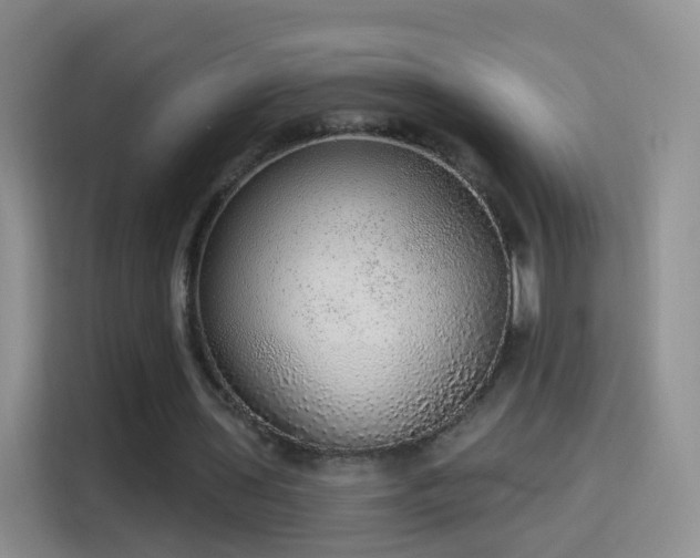 X0000115360435200911101159