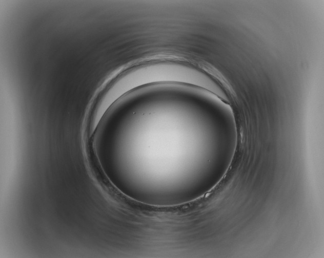 X0000115360436200911101159