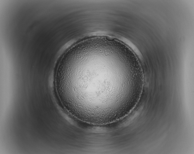X0000115360437200911101159