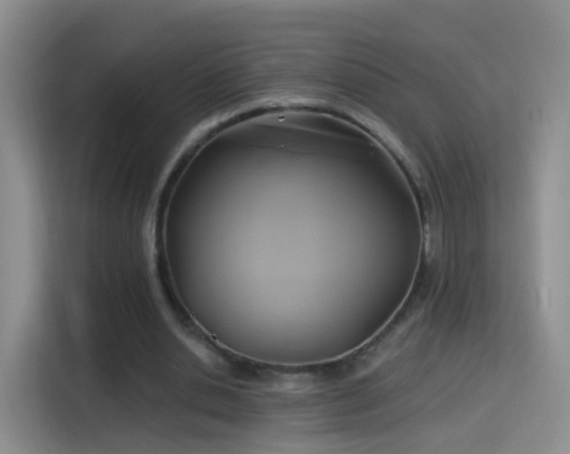 X0000115360438200911101159