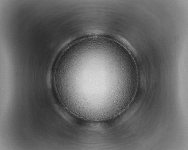 X0000115360439200911101159