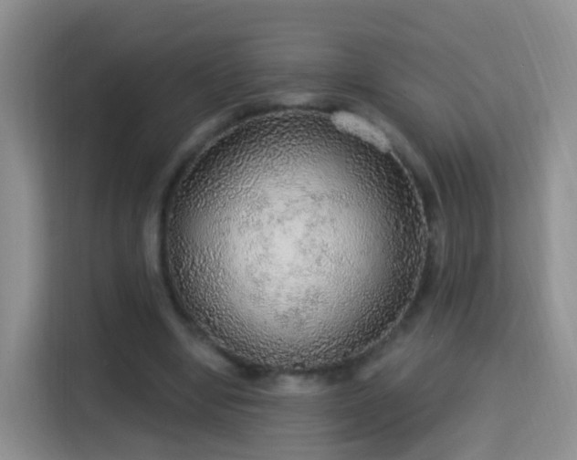 X0000115360442200911101200