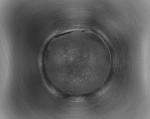 X0000115360443200911101200