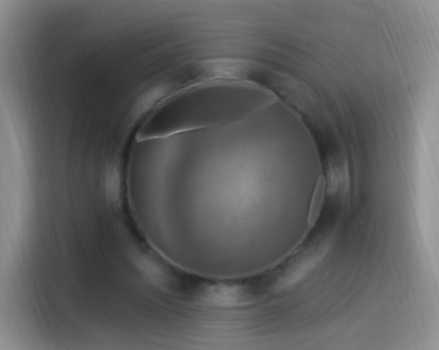 X0000115360444200911101200