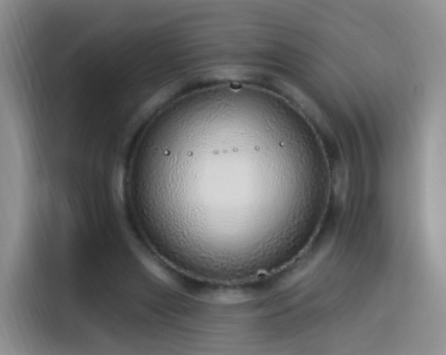 X0000115360445200911101200
