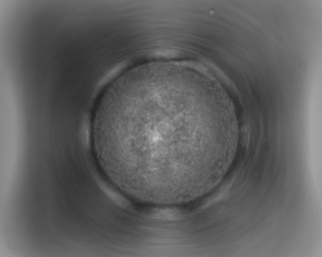 X0000115360446200911101200