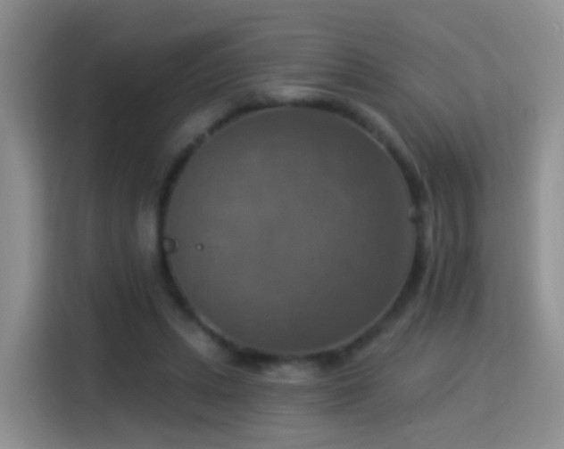 X0000115360447200911101200
