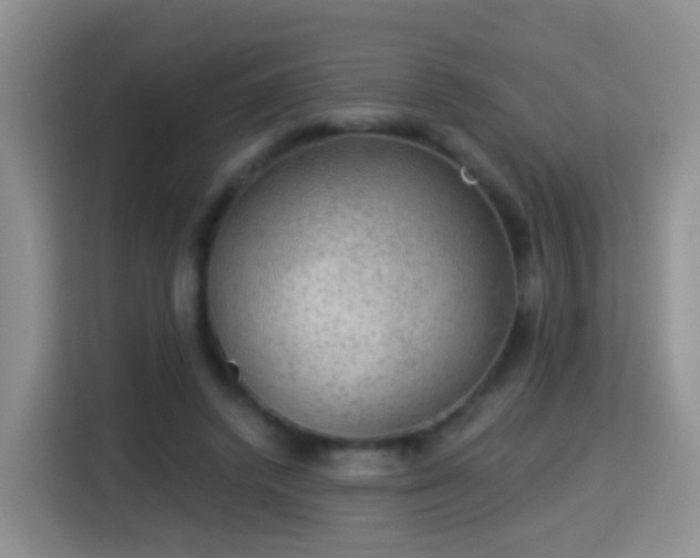 X0000115360448200911101200