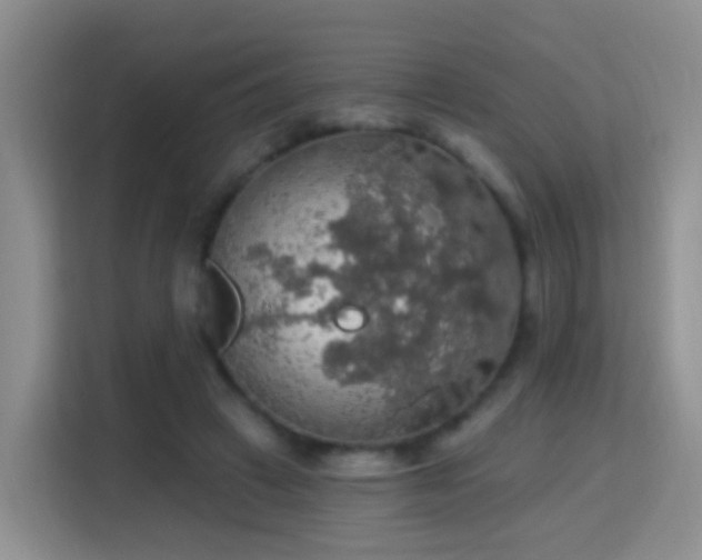 X0000115360449200911101200