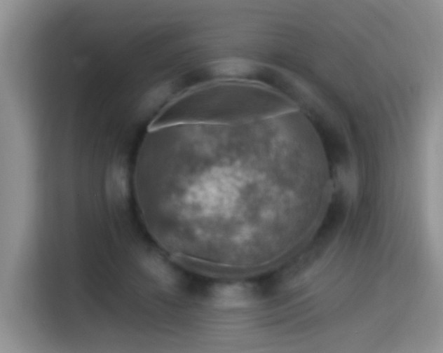 X0000115360452200911101200