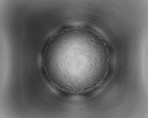 X0000115360453200911101200