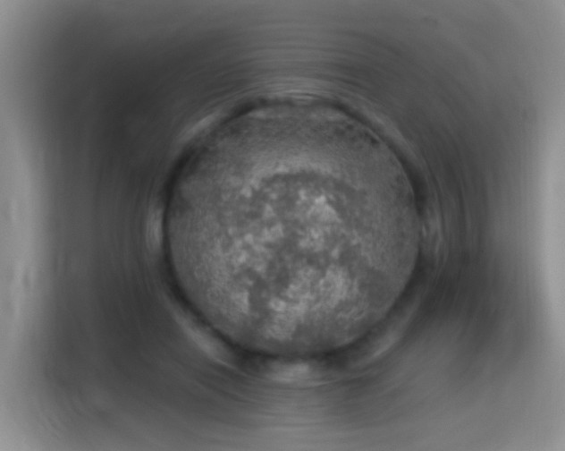 X0000115360454200911101200