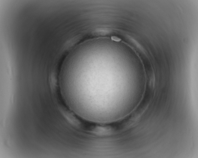 X0000115360455200911101200