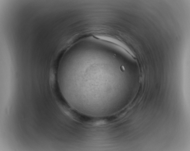 X0000115360456200911101200