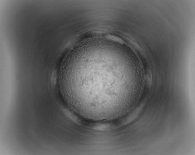 X0000115360458200911101200