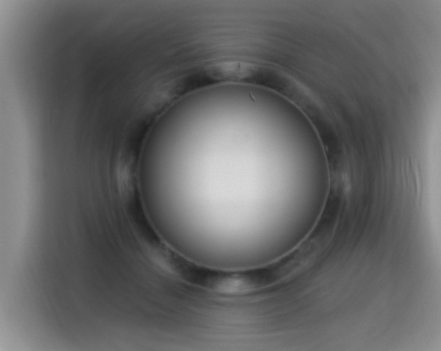 X0000115360460200911101200