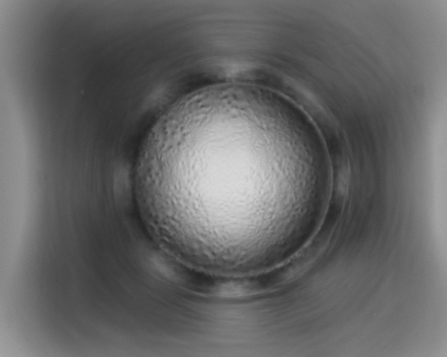 X0000115360461200911101200