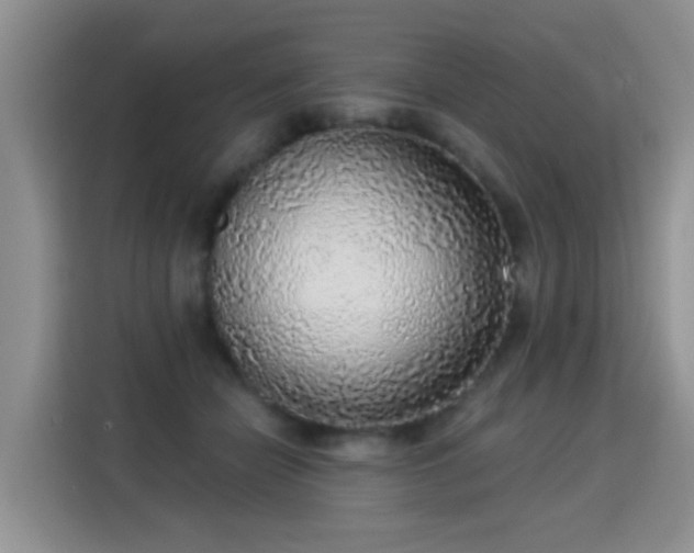 X0000115360462200911101200