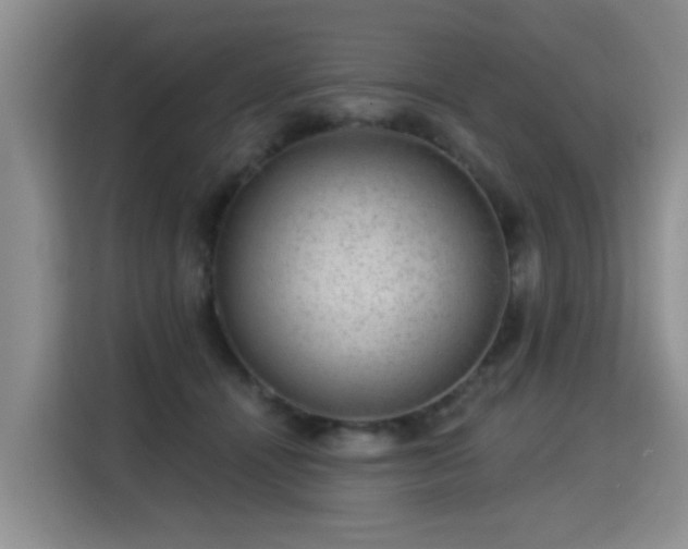 X0000115360464200911101200