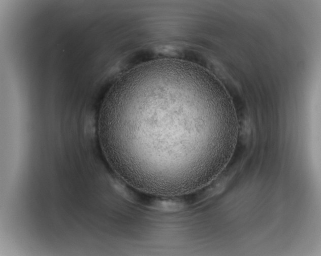 X0000115360466200911101200