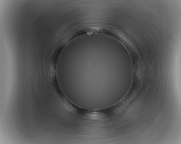 X0000115360467200911101200