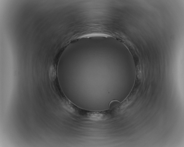 X0000115360471200911101200