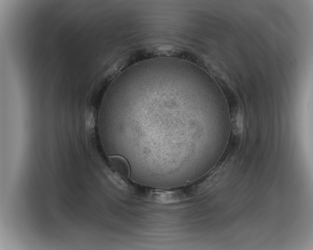 X0000115360472200911101200