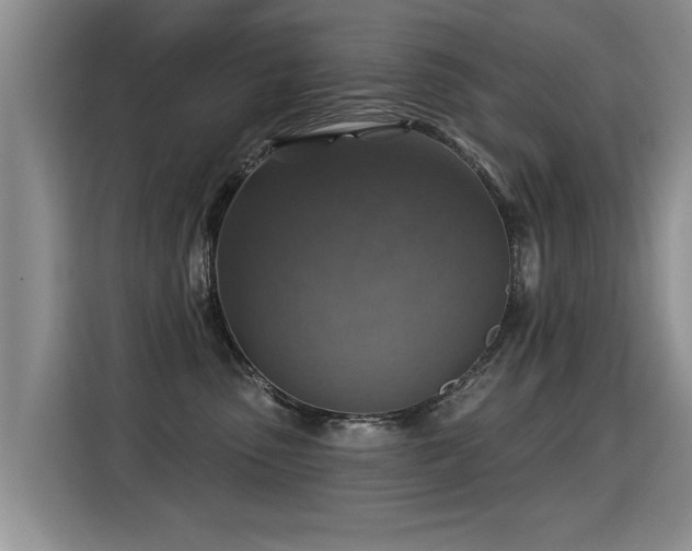 X0000115360475200911101200