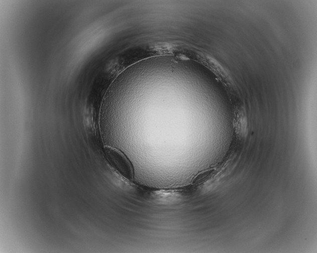X0000115360477200911101200