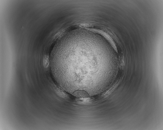 X0000115360478200911101200