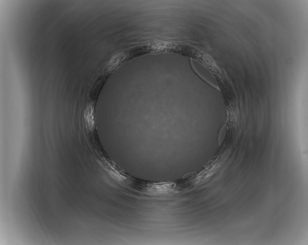 X0000115360479200911101200