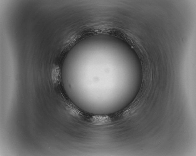 X0000115360480200911101200