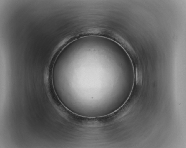 X0000115360483200911101159