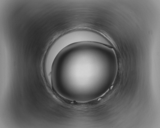 X0000115360485200911101159