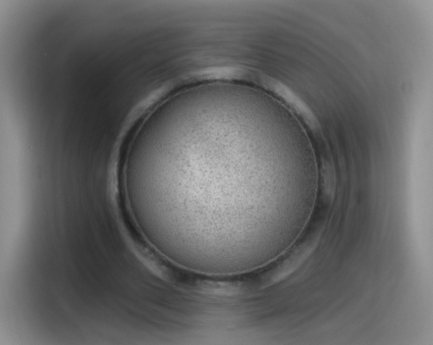 X0000115360486200911101159