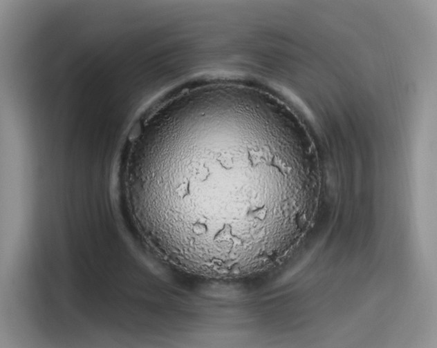 X0000115360487200911101159