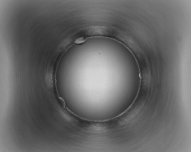 X0000115360489200911101159