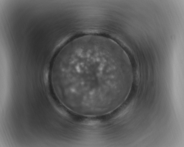 X0000115360491200911101159