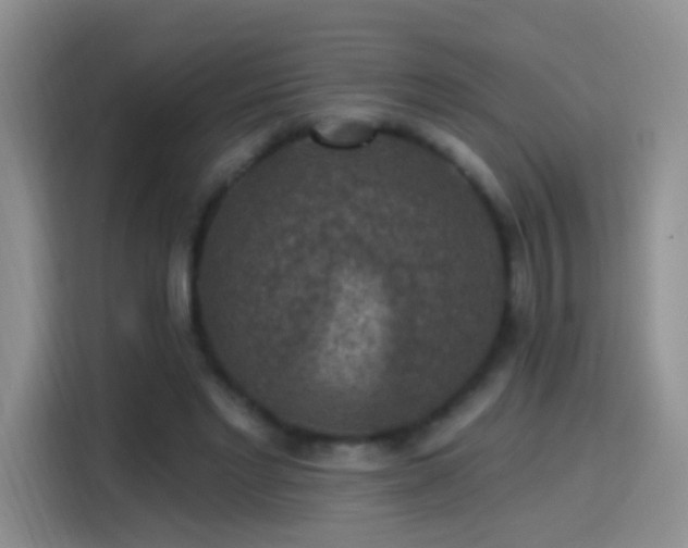 X0000115360493200911101159
