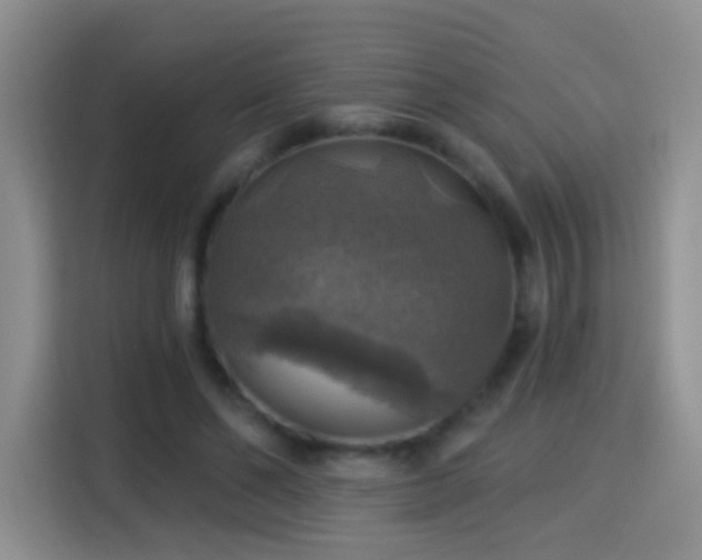 X0000115360494200911101159
