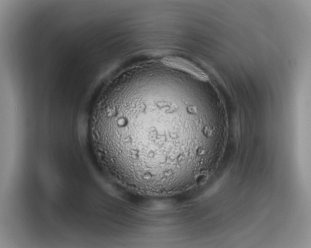 X0000115360495200911101159