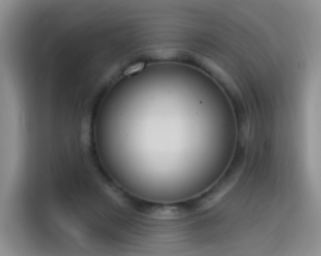 X0000115360497200911101159