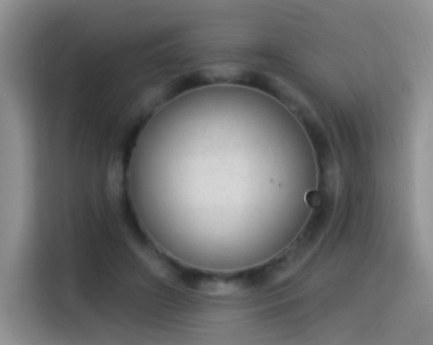 X0000115360498200911101159