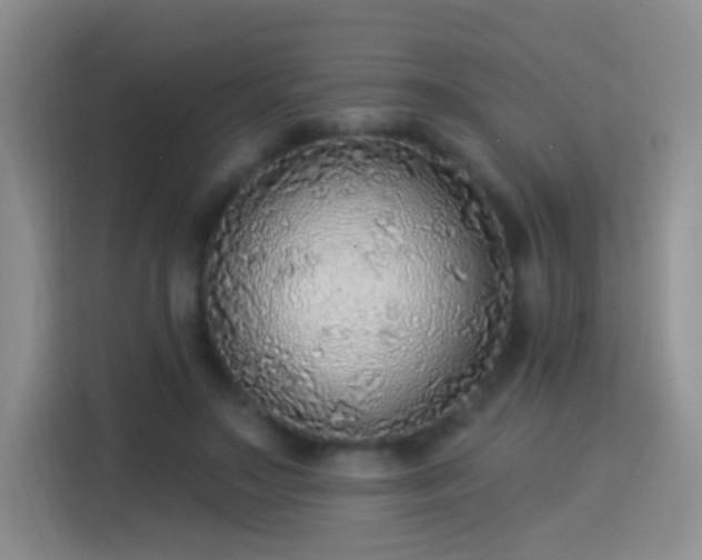 X0000115360499200911101159
