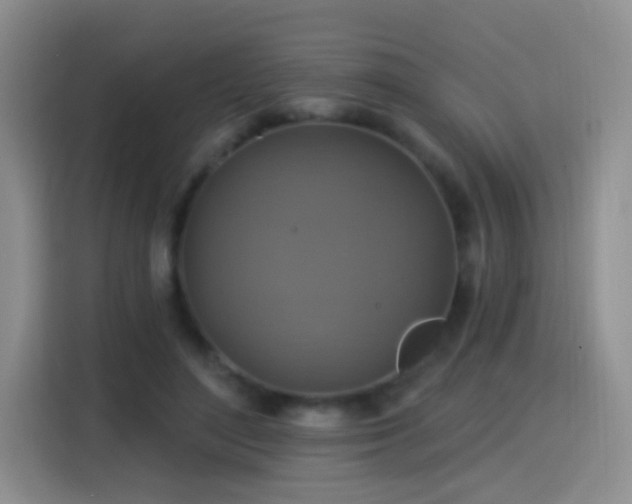 X0000115360500200911101159