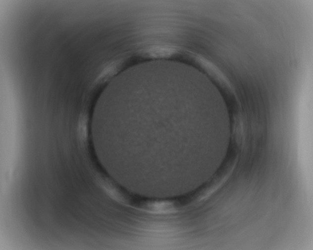 X0000115360501200911101159