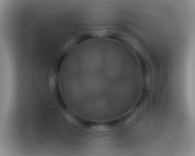 X0000115360503200911101159
