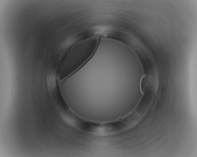 X0000115360504200911101159