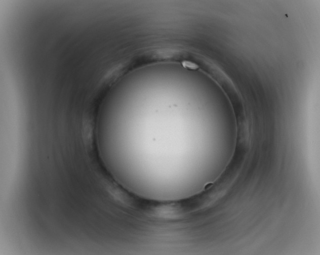 X0000115360505200911101159