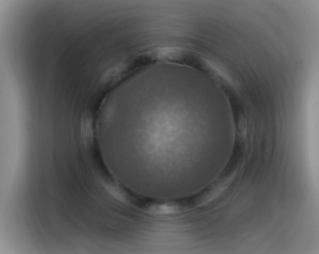 X0000115360506200911101159